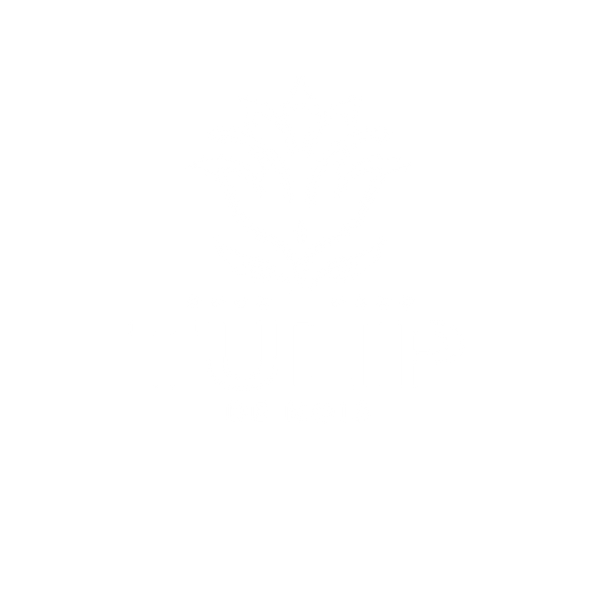 Tulip De Noir
